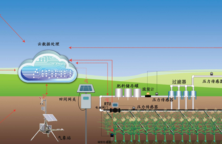 Intelligent irrigation system